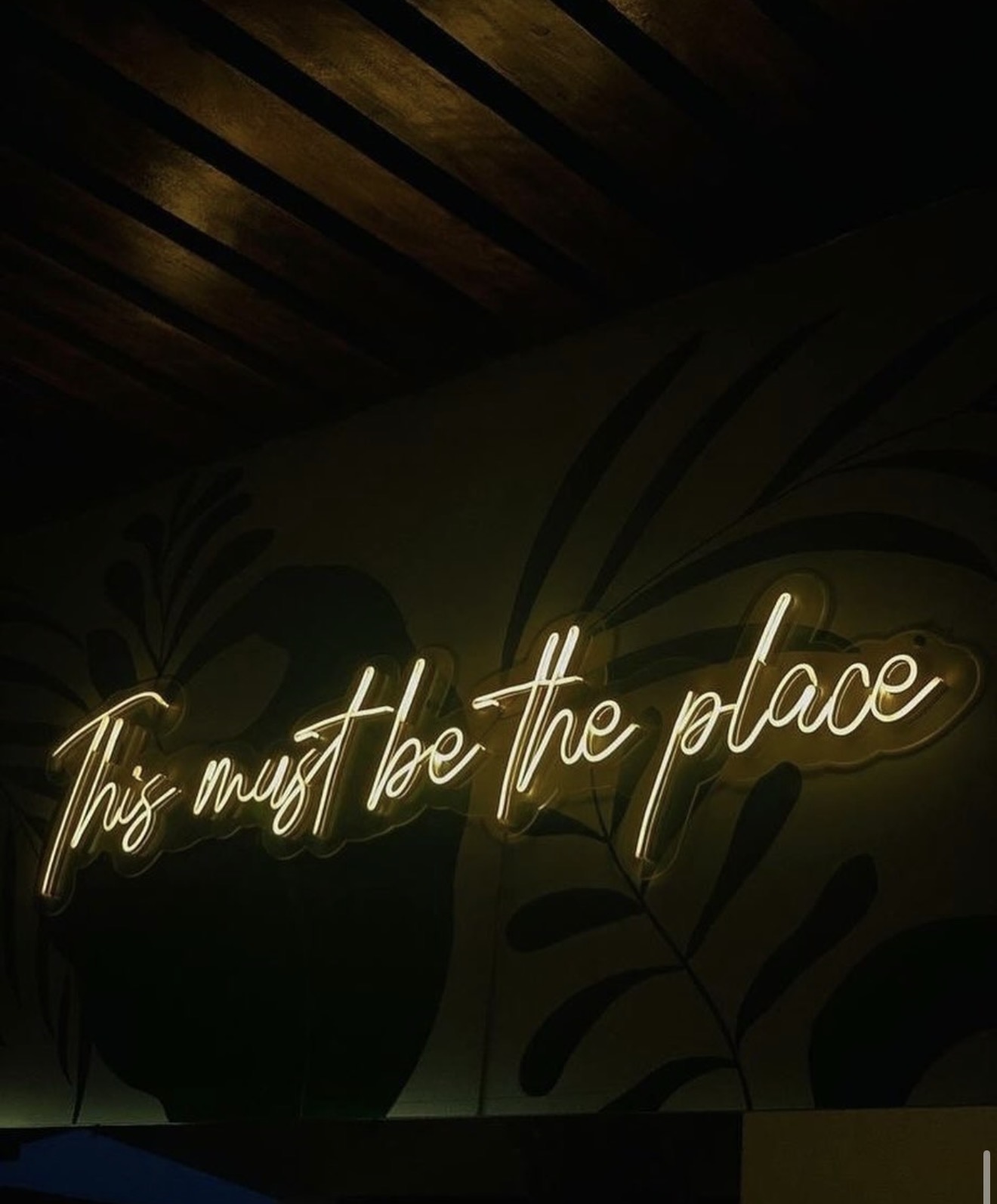 This must be the place — néon blanc tropical
